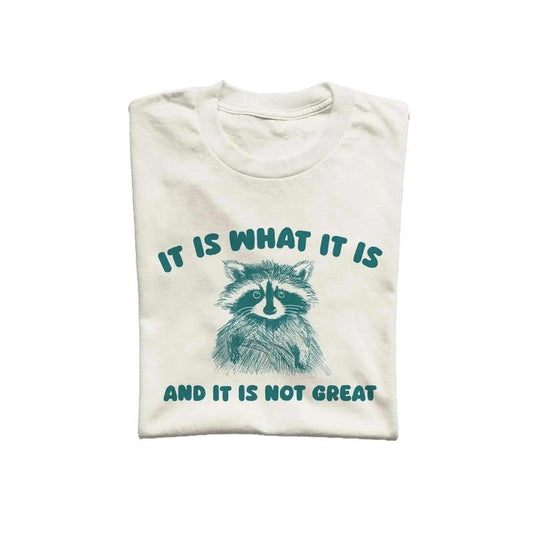 It Is What It Is and It Is Not Great Unisex T Shirt, Vintage Drawing Tee, Weird T-Shirt, Graphic Tee