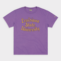 Retro Louisiana State Script Vintage Heavyweight Tee Style001 Hoodie, Sweatshirt | CoreVibeTees.com (Image 1)