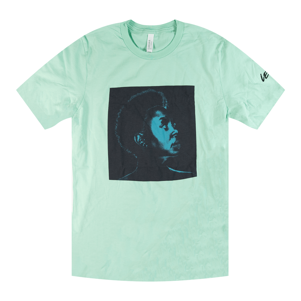 Ledisi Sings Nina Mint T-Shirt Hoodie, Sweatshirt | CoreVibeTees.com (Image 1)