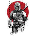 Mandalorian Bounty Hunter Sumi E