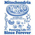Mitochondria