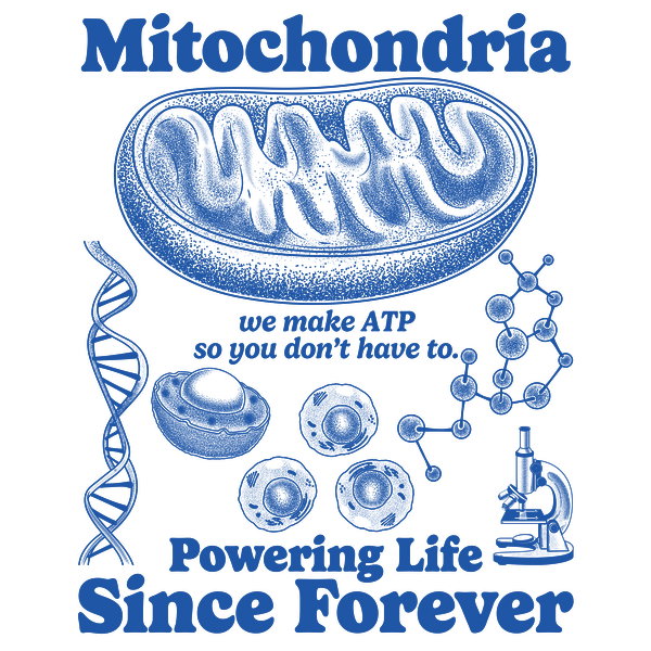 Mitochondria