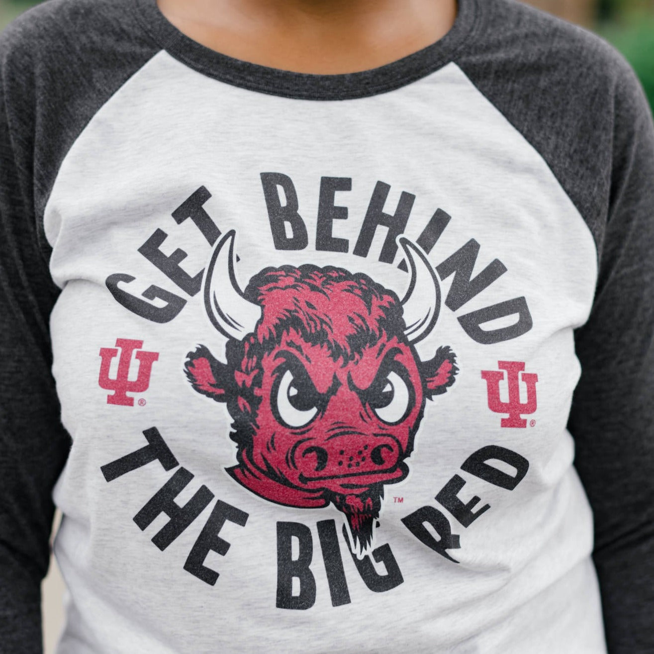 IU "Get Behind the Big Red" Bison Baseball Tee Hoodie, Sweatshirt | CoreVibeTees.com (Image 2)