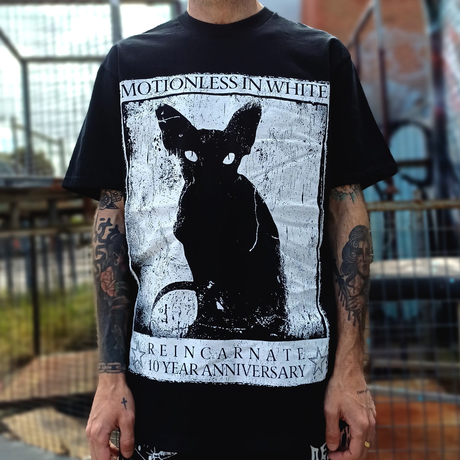 Reincarnate Sphynx Tee (Black) Hoodie, Sweatshirt | CoreVibeTees.com (Image 2)