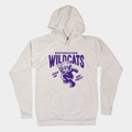 Vintage Northwestern Wildcats ‚ÄúPush On‚Äù Hoodie Style001 T-Shirts, Sweatshirt | CoreVibeTees.com