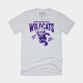 Vintage Northwestern Wildcats ‚ÄúPush On‚Äù Tee Style001 Hoodie, Sweatshirt | CoreVibeTees.com (Image 1)