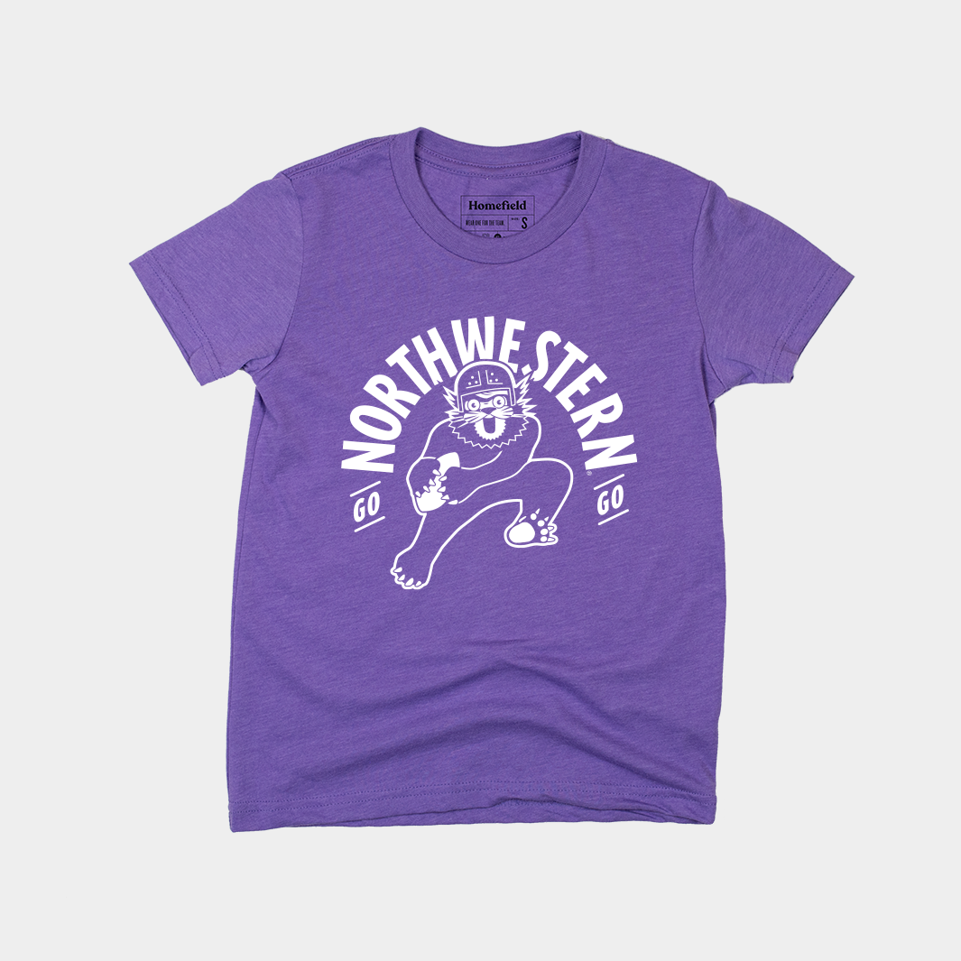 Go Northwestern Go Youth Tee Hoodie, Sweatshirt | CoreVibeTees.com