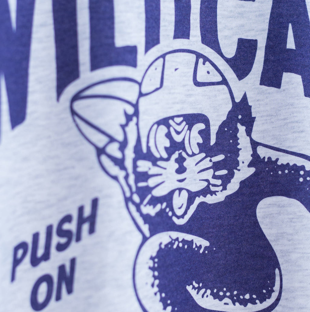 Vintage Northwestern Wildcats ‚ÄúPush On‚Äù Tee Style001 Hoodie, Sweatshirt | CoreVibeTees.com (Image 2)