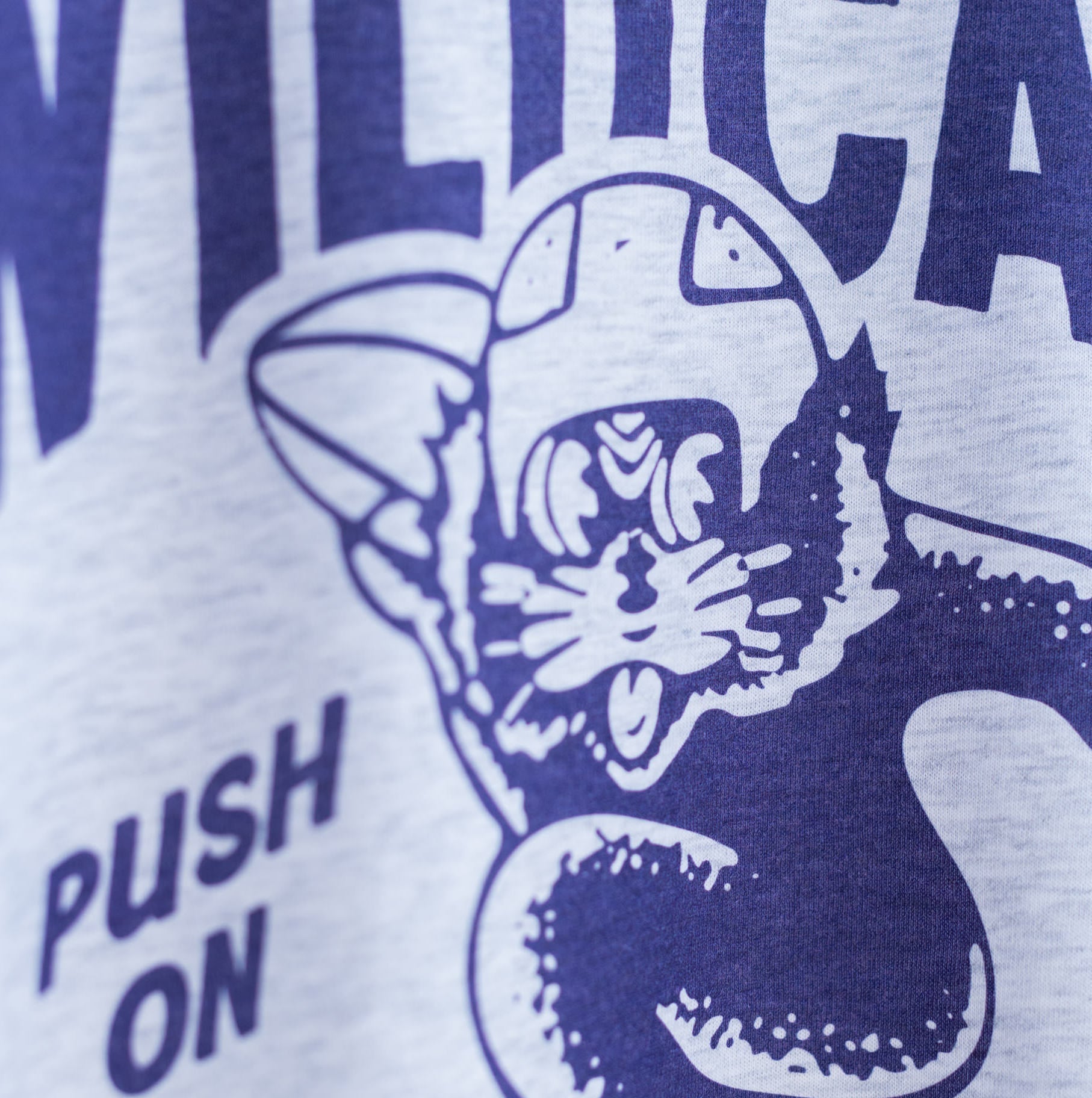 Vintage Northwestern Wildcats ‚ÄúPush On‚Äù Tee Style001 Hoodie, Sweatshirt | CoreVibeTees.com (Image 2)