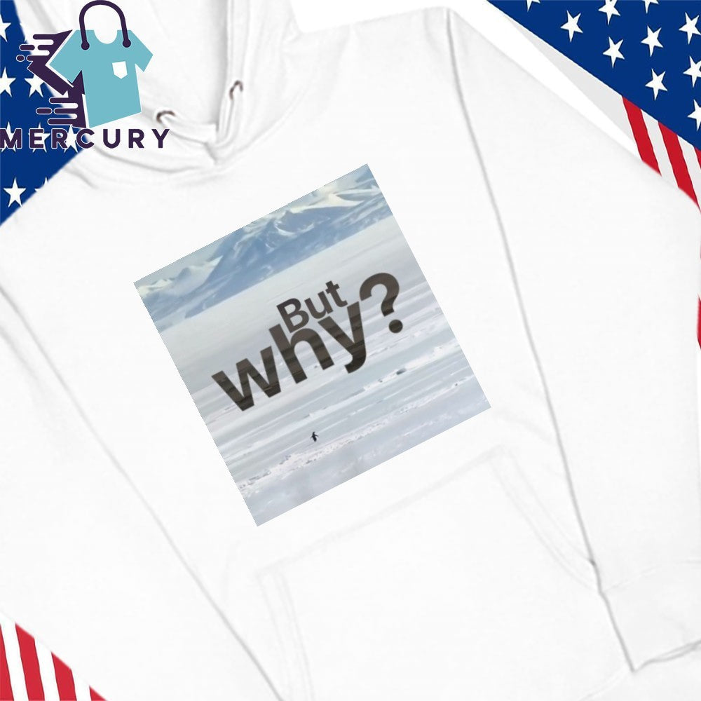 But Why Motivation Penguin Poster shirt