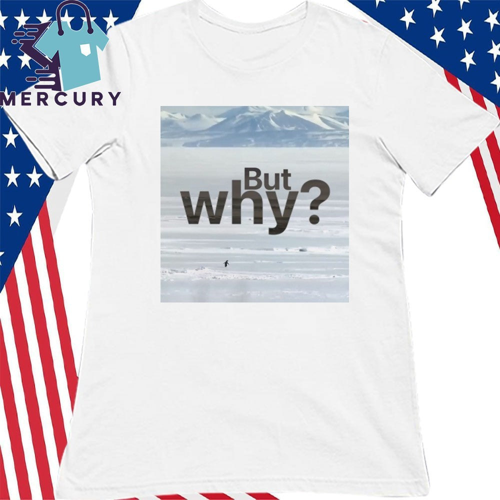 But Why Motivation Penguin Poster shirt