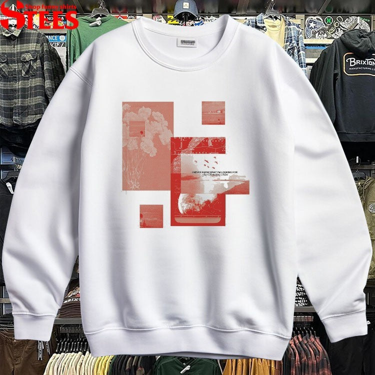 Flipturn I Never Know What I’m Looking For Just Something More T-shirt