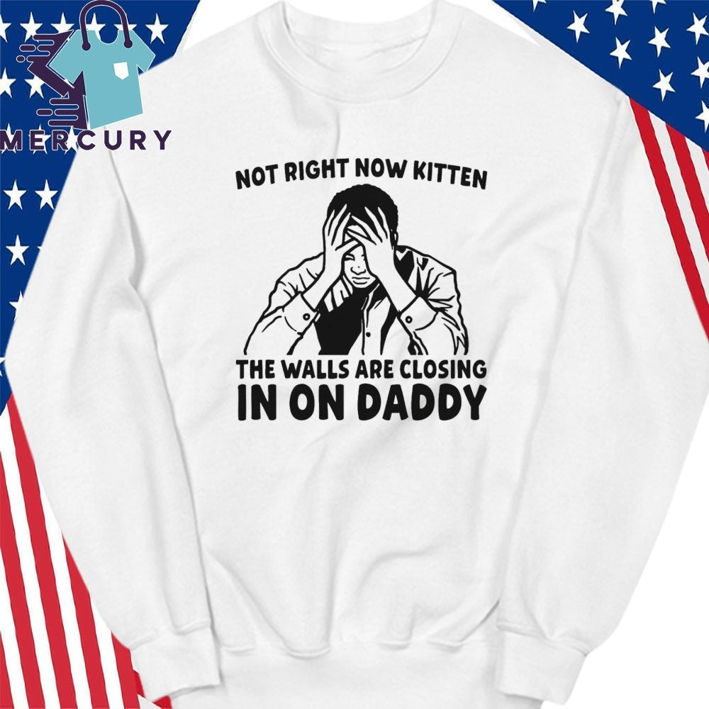 Not Right Now Kitten The Walls Are Closing In On Daddy Shirt
