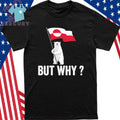 Penguin But Why Head Towards The Mountains Motivational Bear Shirt