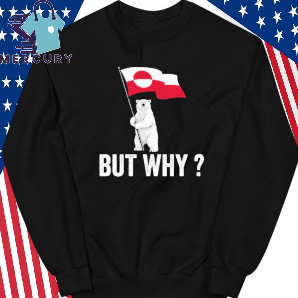 Penguin But Why Head Towards The Mountains Motivational Bear Shirt