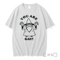 Officials Wizard You Are Gay Lgbtq Pride Meme