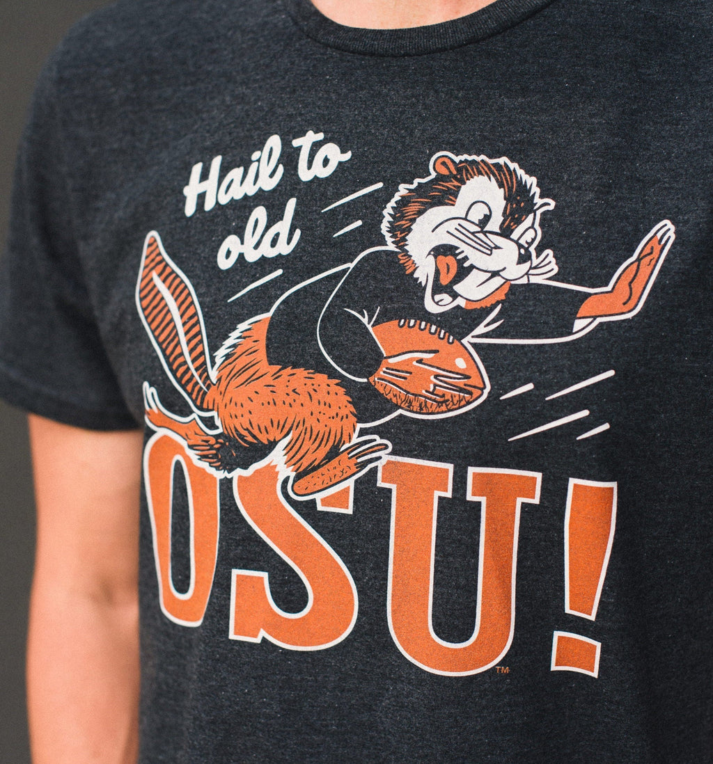 Vintage Hail to Old OSU Football Beaver Tee Style001 Hoodie, Sweatshirt | CoreVibeTees.com (Image 2)