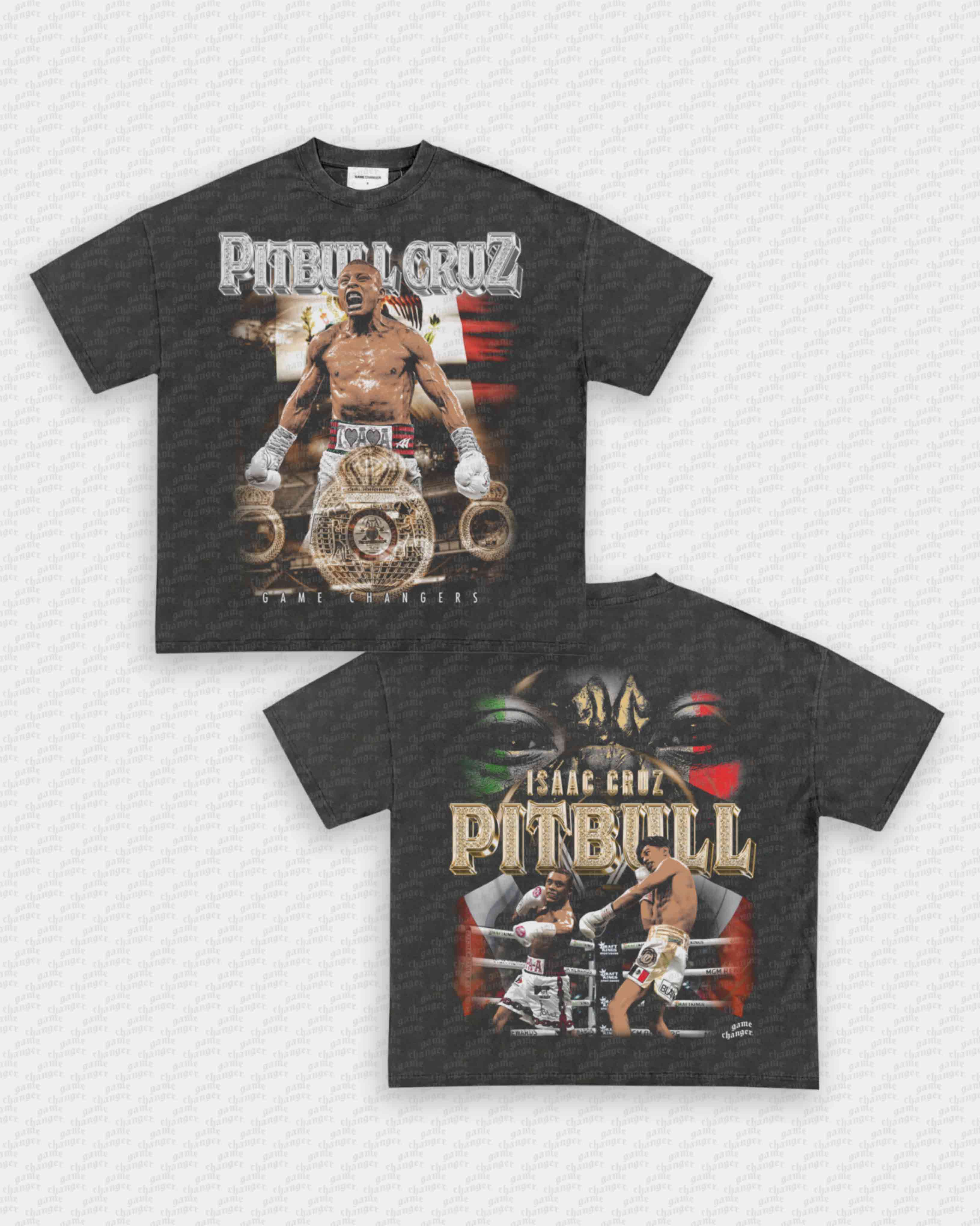 PITBULL CRUZ V2 TEE - [DS] Hoodie, Sweatshirt | CoreVibeTees.com (Image 2)