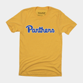 Panthers Script Tee Hoodie, Sweatshirt | CoreVibeTees.com