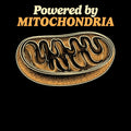 Powered By Mitochondria