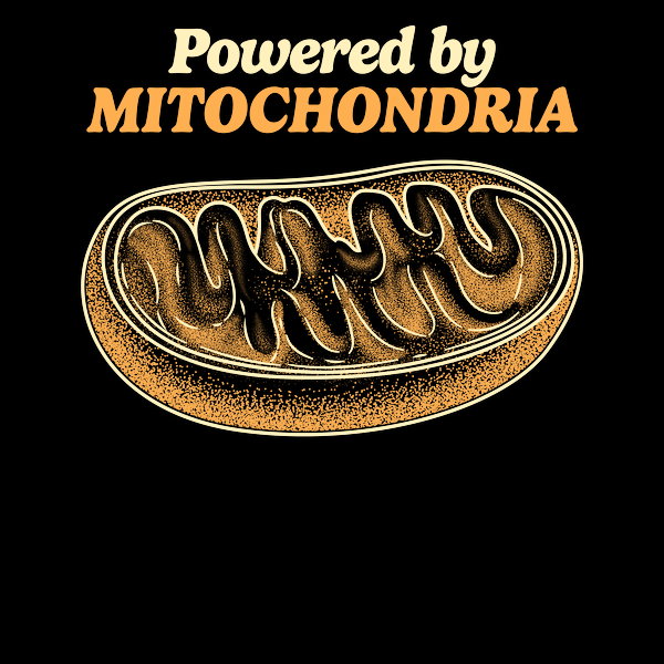 Powered By Mitochondria