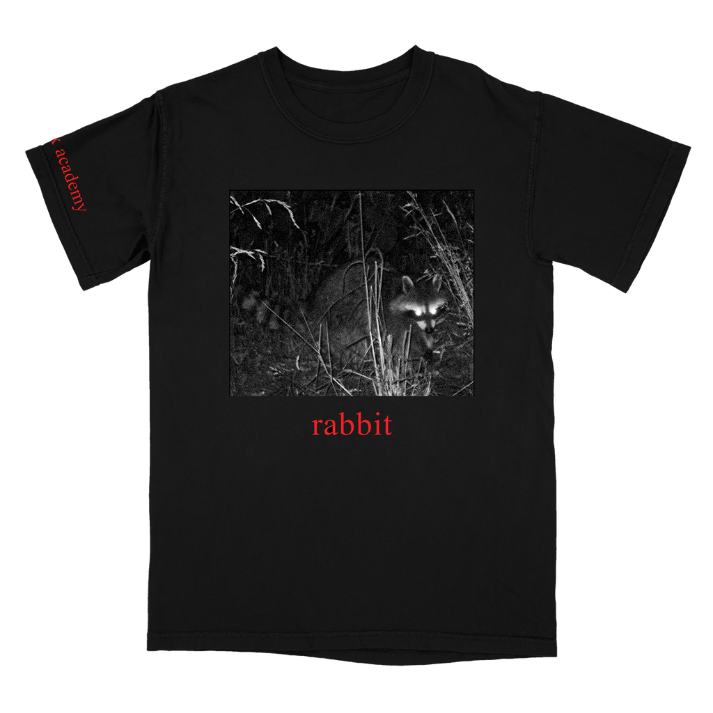 Fox Academy - Rabbit T-Shirt Hoodie, Sweatshirt | CoreVibeTees.com