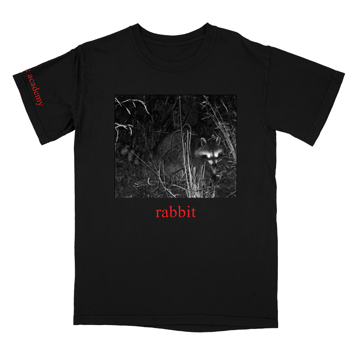 Fox Academy - Rabbit T-Shirt Hoodie, Sweatshirt | CoreVibeTees.com