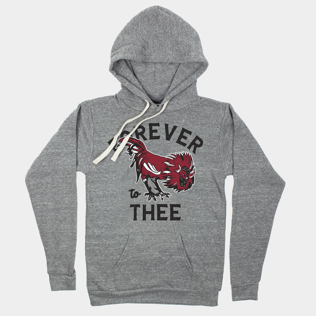 Retro ‚ÄúForever to Thee‚Äù South Carolina Hoodie T-Shirts, Sweatshirt | CoreVibeTees.com
