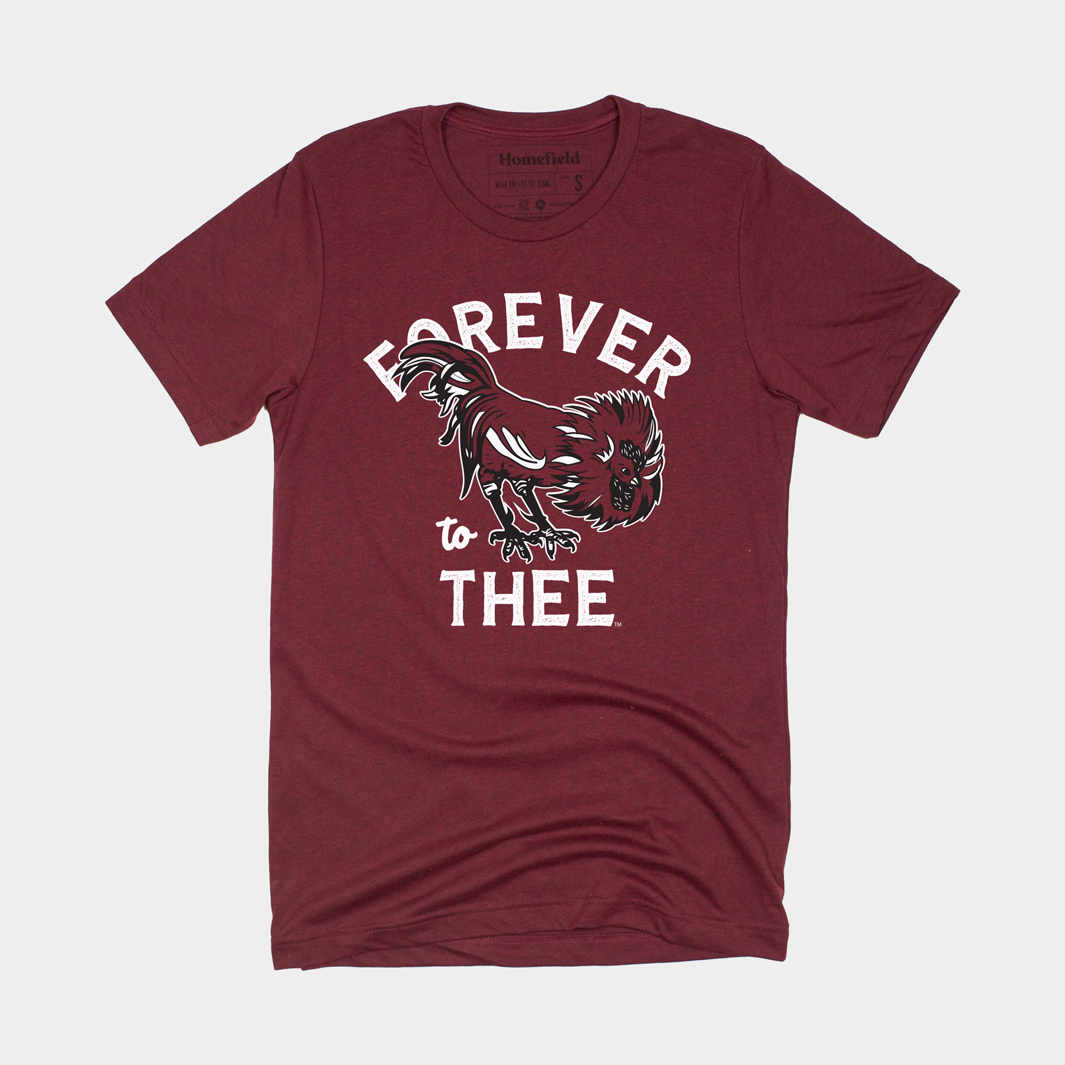 Retro ‚ÄúForever to Thee‚Äù South Carolina Tee Style001 Hoodie, Sweatshirt | CoreVibeTees.com