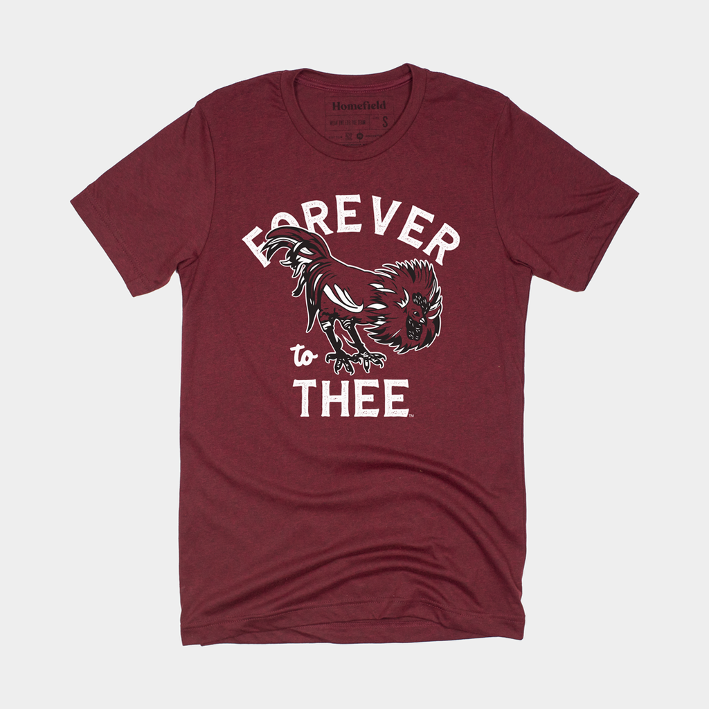Retro ‚ÄúForever to Thee‚Äù South Carolina Tee Hoodie, Sweatshirt | CoreVibeTees.com