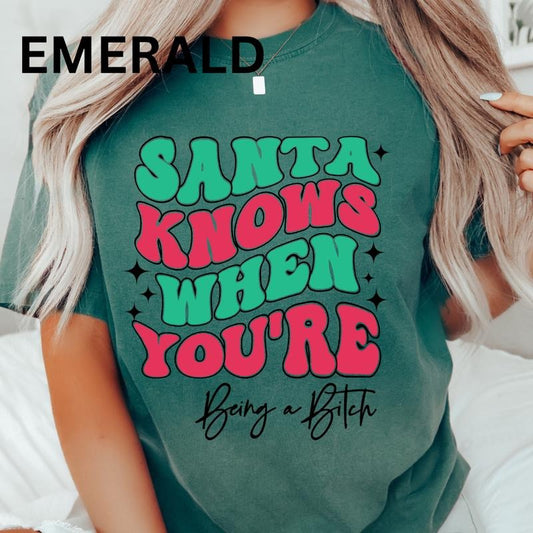 Santa KNows When You're Being a B Shirt~ Unisex Apparel Relaxed Fit Printed In The USA Clothing Womenswear Casual Comfort Cotton Top Athletic Boho Chic
