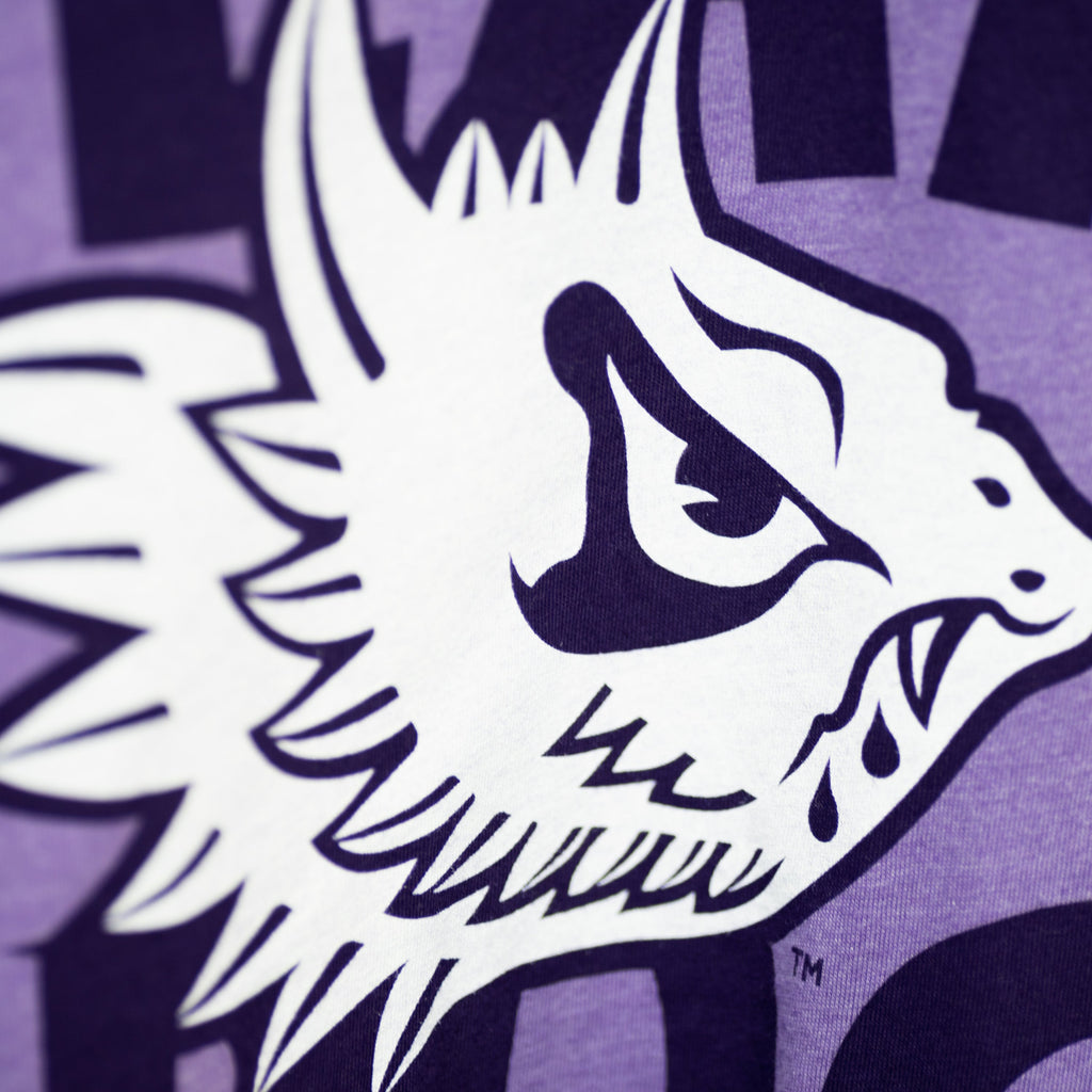 TCU Fear the Frog Vintage Tee Style001 Hoodie, Sweatshirt | CoreVibeTees.com (Image 2)