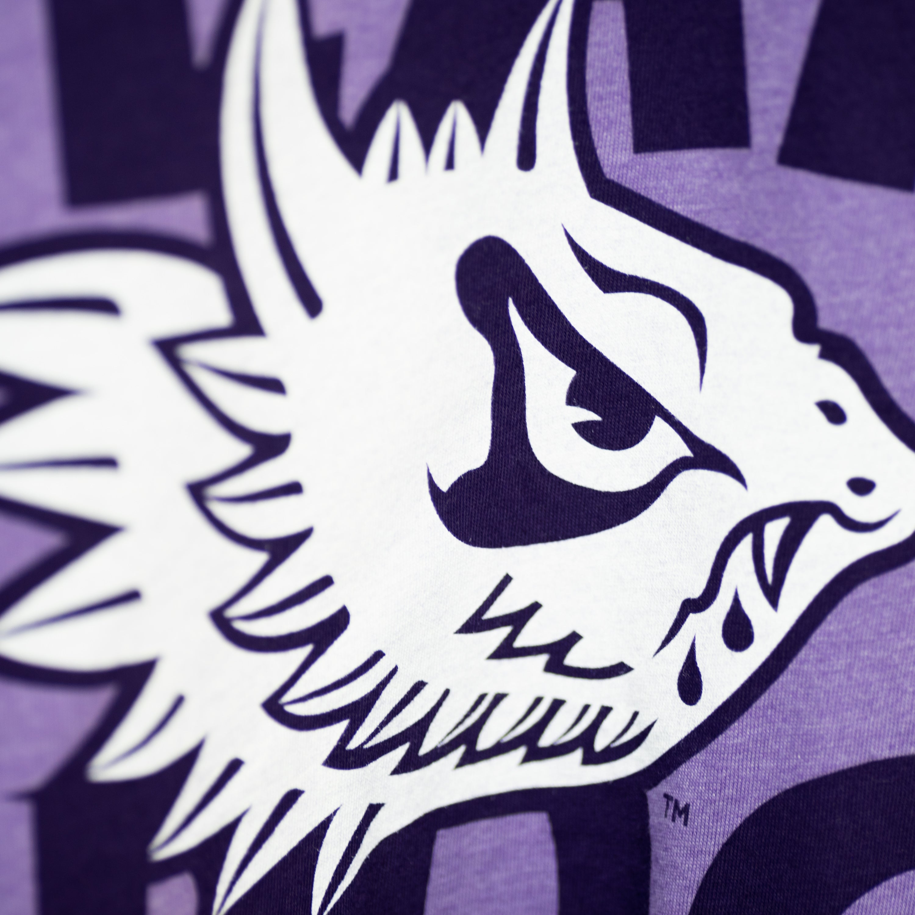 TCU Fear the Frog Vintage Tee Style001 Hoodie, Sweatshirt | CoreVibeTees.com (Image 2)