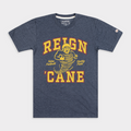 Tulsa Football "Reign 'Cane" Tee Style001 Hoodie, Sweatshirt | CoreVibeTees.com (Image 1)