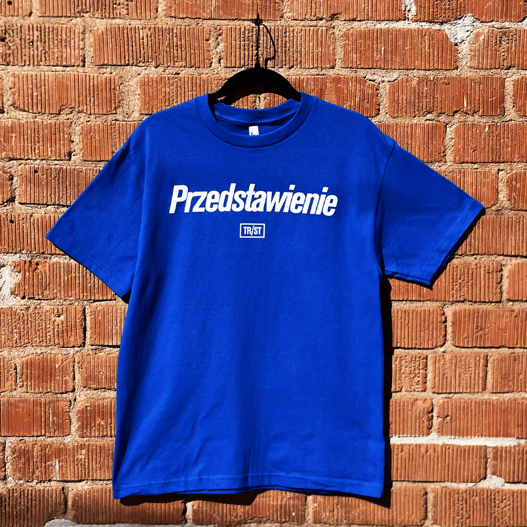 Polish Performance Short Sleeve Blue T-Shirt Hoodie, Sweatshirt | CoreVibeTees.com (Image 3)