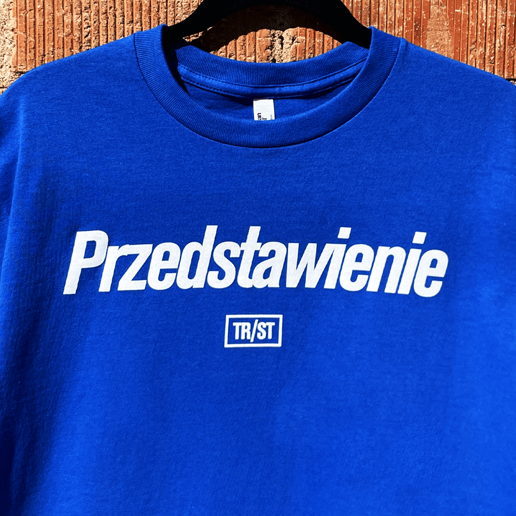 Polish Performance Short Sleeve Blue T-Shirt Hoodie, Sweatshirt | CoreVibeTees.com (Image 2)
