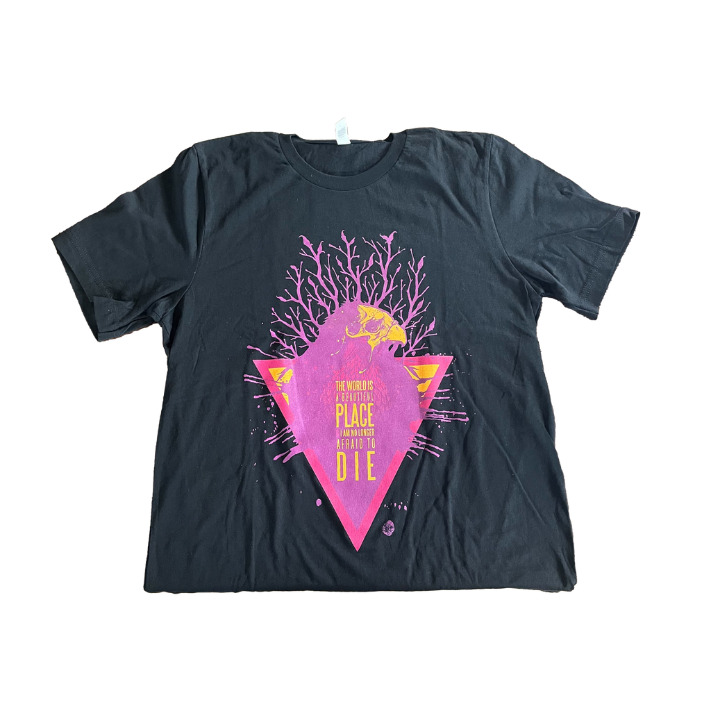 TWIABP - Raven Shirt Hoodie, Sweatshirt | CoreVibeTees.com