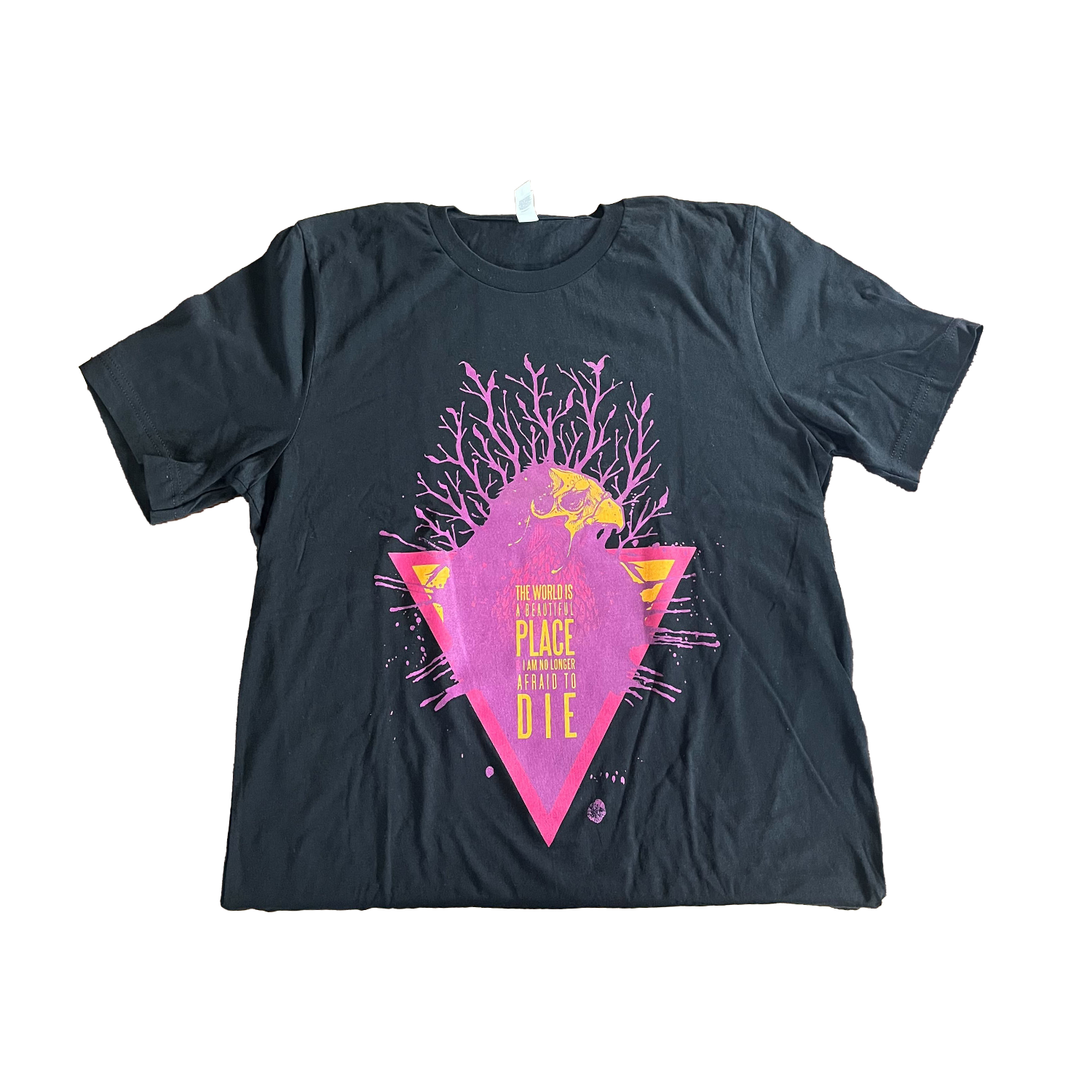 TWIABP - Raven Shirt Hoodie, Sweatshirt | CoreVibeTees.com