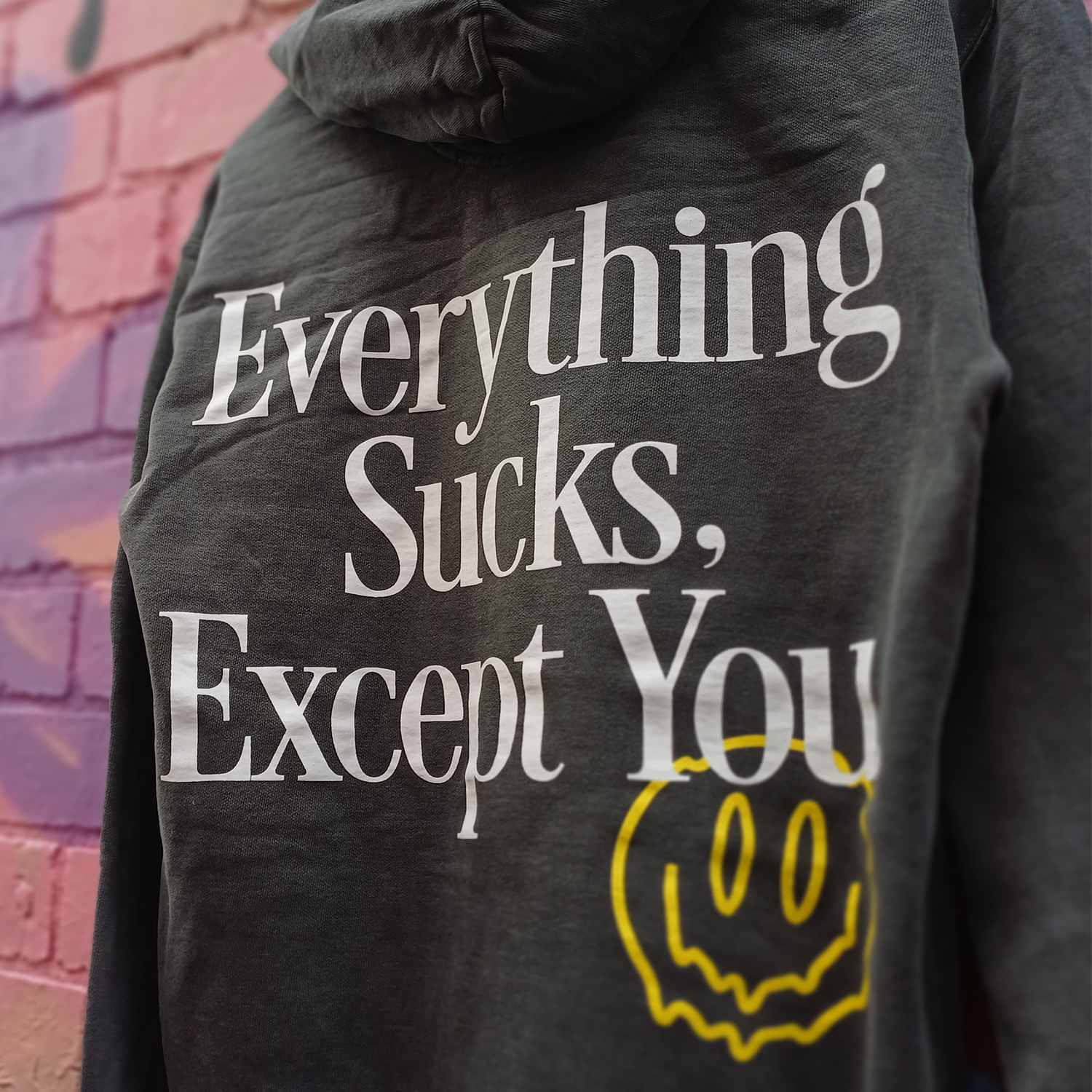 Everything Sucks, Except You. Hoodie (Pepper) T-Shirts, Sweatshirt | CoreVibeTees.com (Image 2)