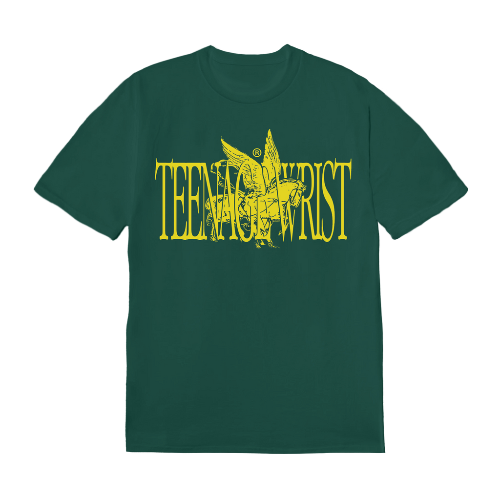 Teenage Wrist - Flying Horse Tee Hoodie, Sweatshirt | CoreVibeTees.com