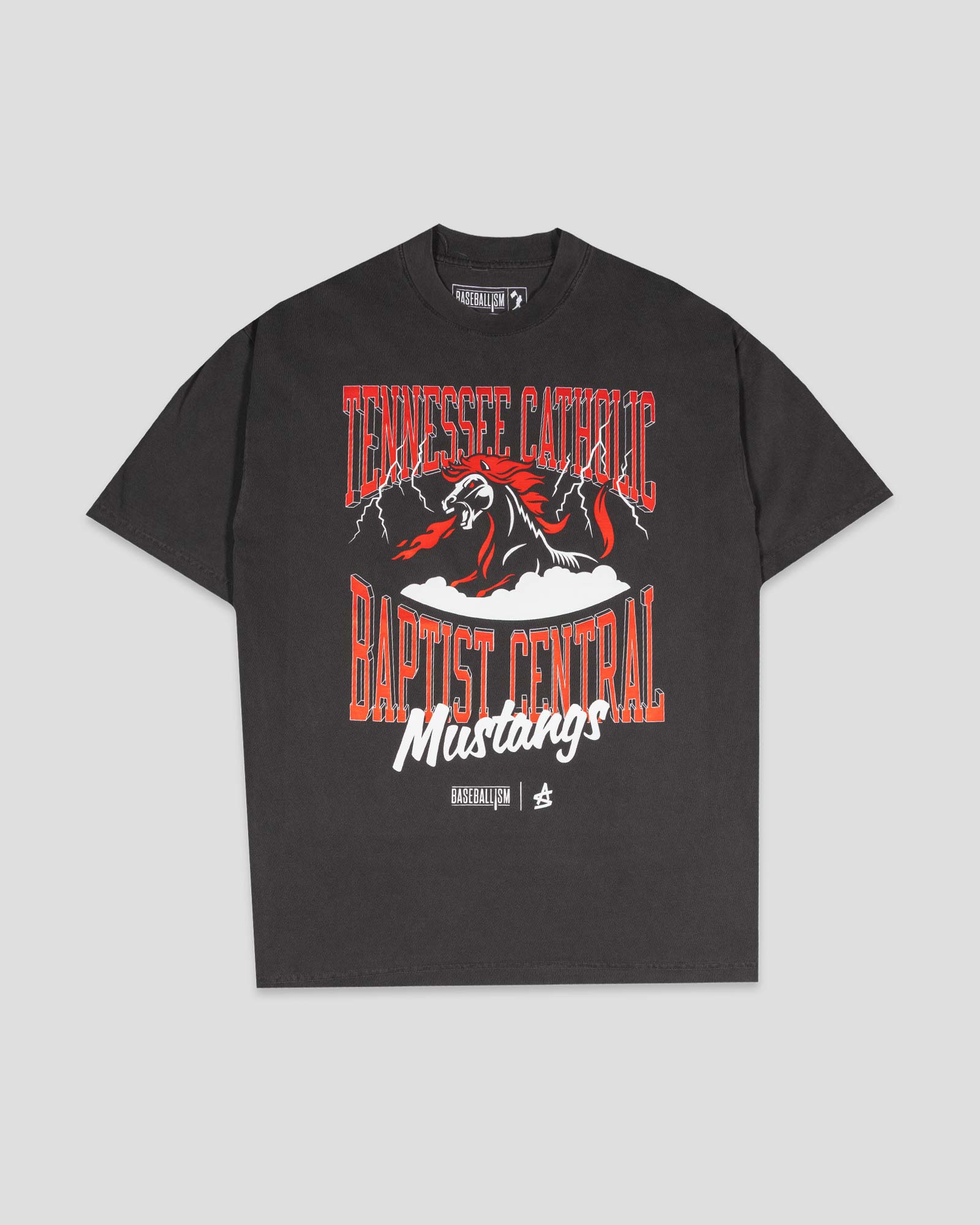 Tennessee Catholic Baptist Central Oversized T-Shirt (Carbon) (Image 1)