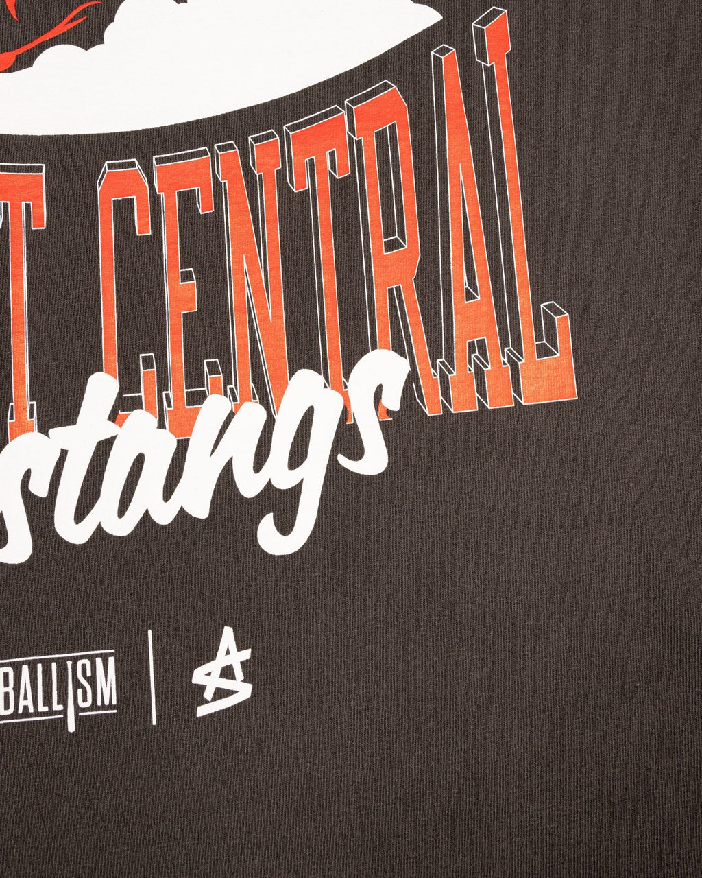 Tennessee Catholic Baptist Central Oversized T-Shirt (Carbon) (Image 2)
