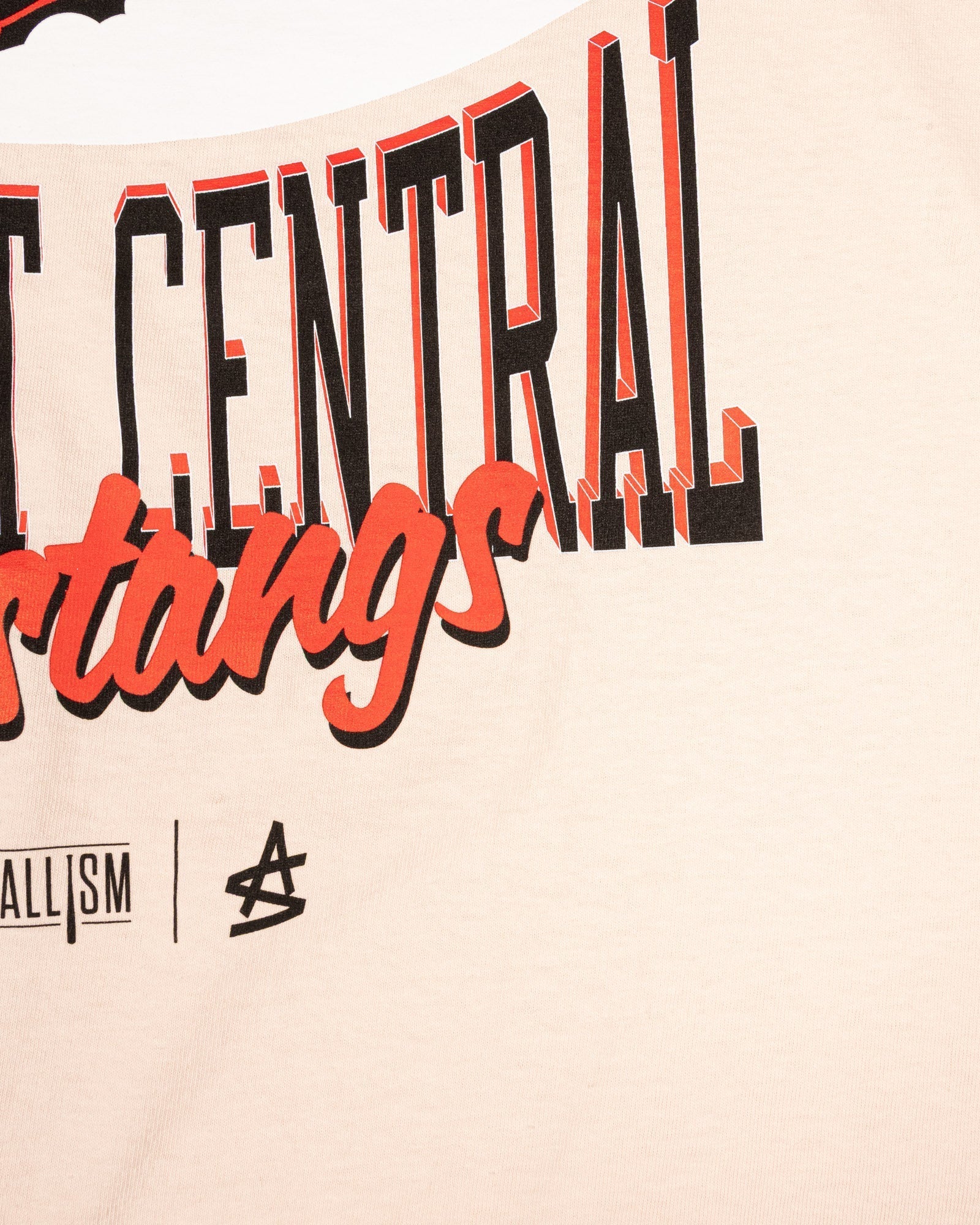 Tennessee Catholic Baptist Central Oversized T-Shirt (Pink) (Image 2)