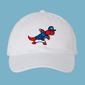 Toronto Raptors Funny Hat