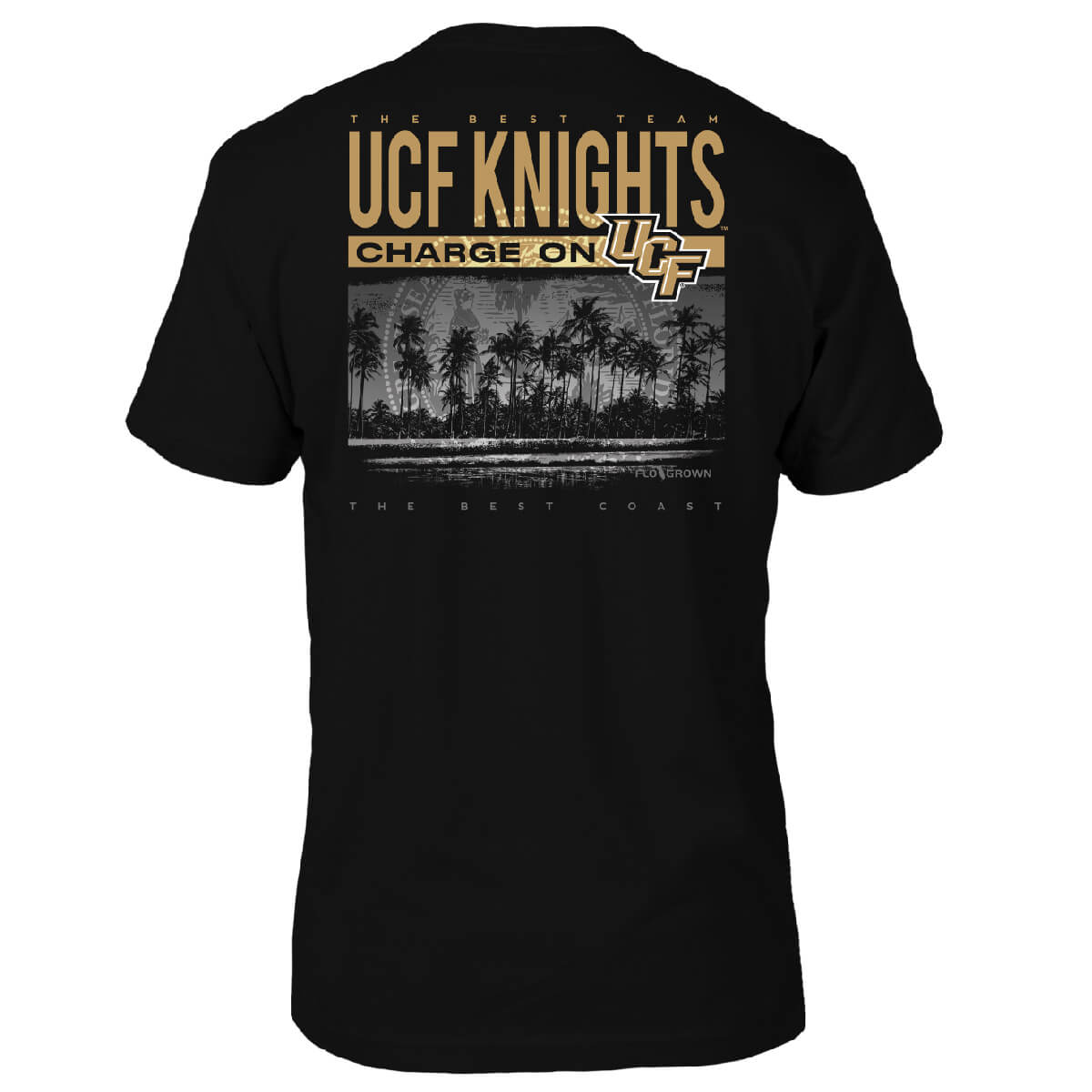 UCF Knights Best Beach Tee Hoodie, Sweatshirt | CoreVibeTees.com (Image 1)