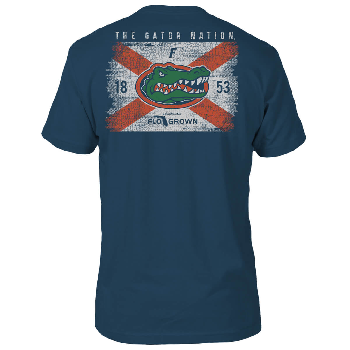Florida Gators Washed Flag Tee Hoodie, Sweatshirt | CoreVibeTees.com (Image 1)