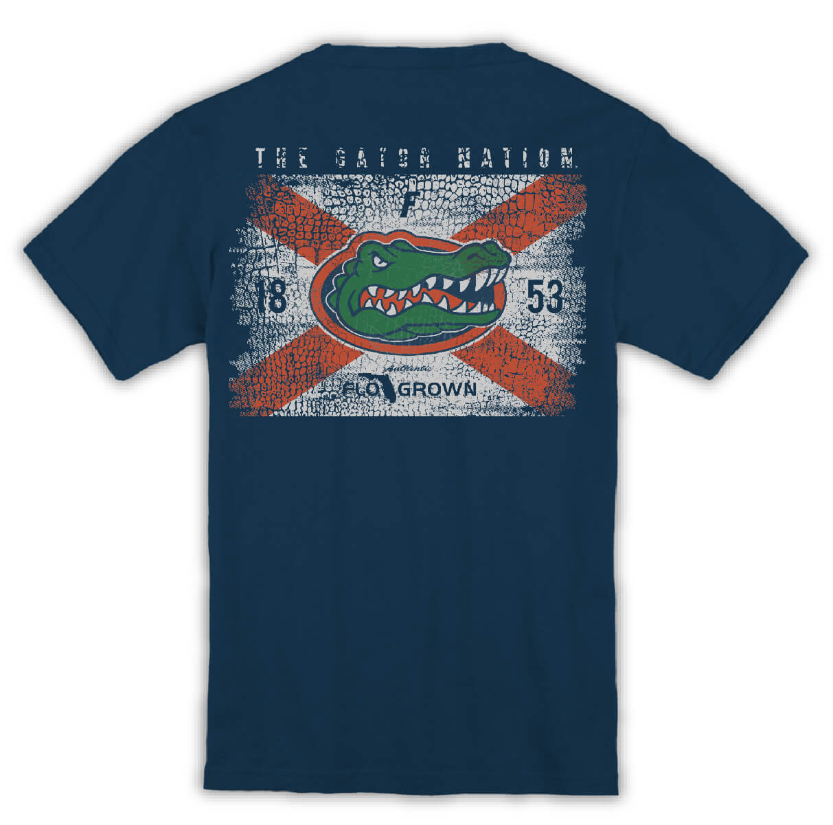 Florida Gators Washed Flag Youth Tee Hoodie, Sweatshirt | CoreVibeTees.com (Image 1)