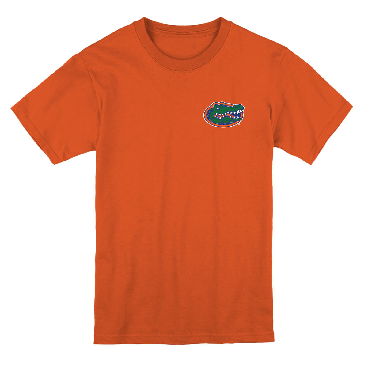 Florida Gators Blue Skies Flag Youth Tee Hoodie, Sweatshirt | CoreVibeTees.com (Image 2)