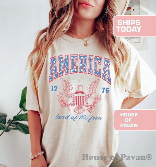 USA shirt, Summer BBQ t-shirt, Red White and Blue, 4th of July shirt