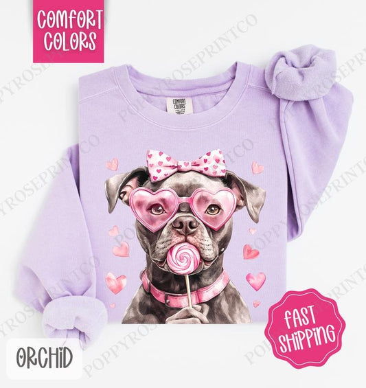 Valentine Pitbull Comfort Colors Sweatshirt, Valentine's Day Women's Crewneck, Cute Women's Sweater